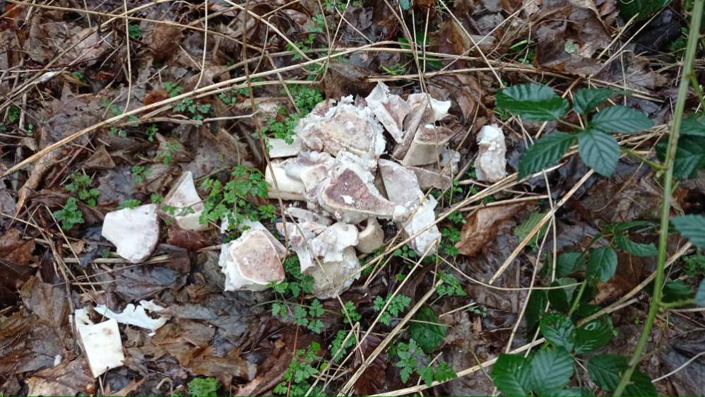 Giftköder-Großer Haufen Markknochen.-Profilbild