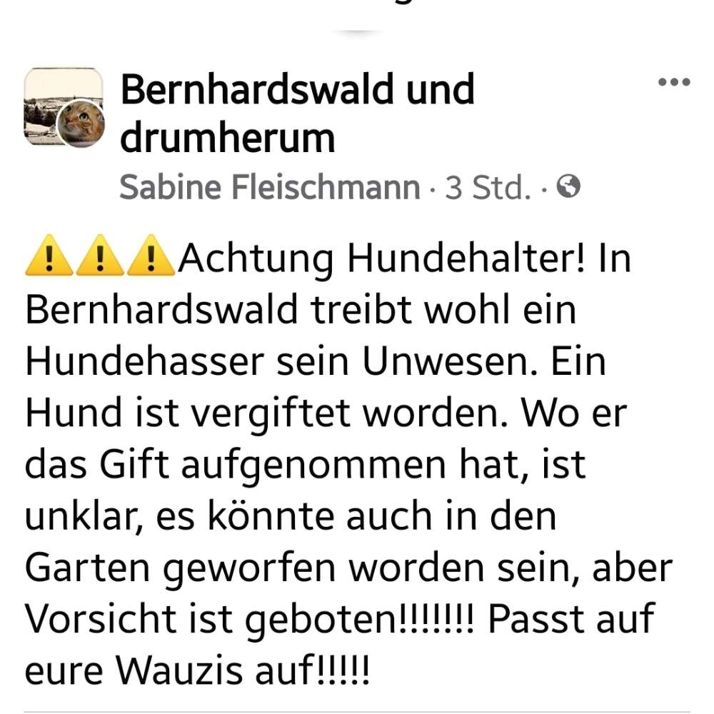 Giftköder-Giftköder-Profilbild