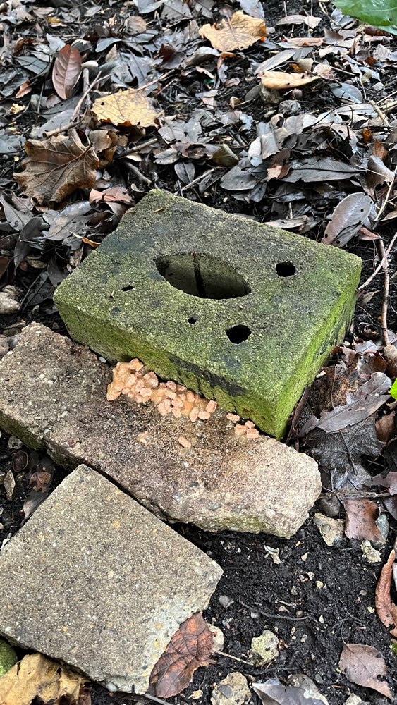 Giftköder-Möglicher Giftköder-Profilbild