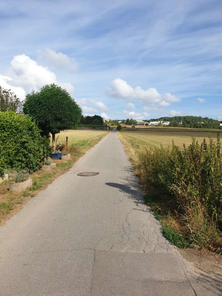 Giftköder-Fleischstücke-Profilbild