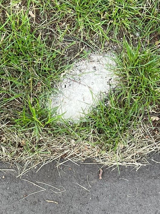 Giftköder-Eventuell Giftköder-Profilbild