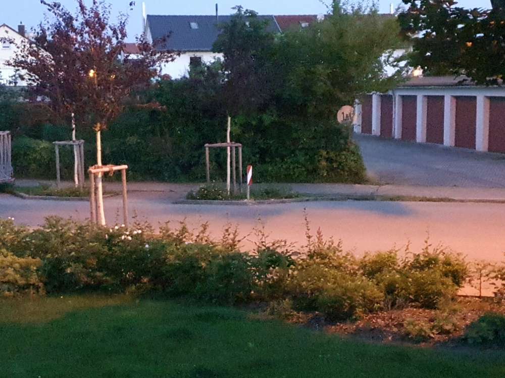 Giftköder-Gidtköder-Profilbild