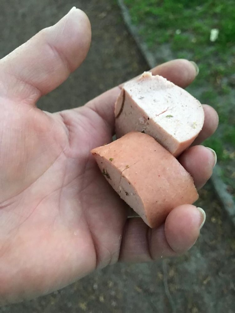 Giftköder-Wurststücke-Profilbild