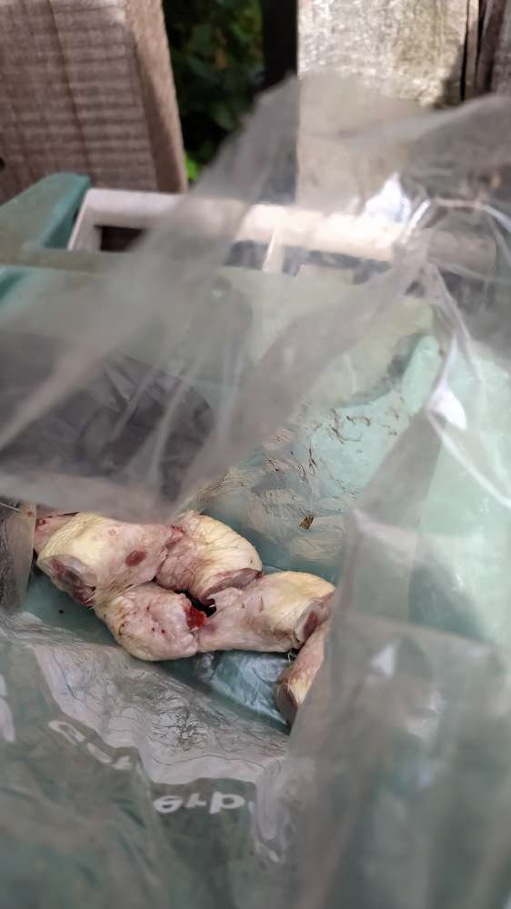 Giftköder-Giftköder-Profilbild