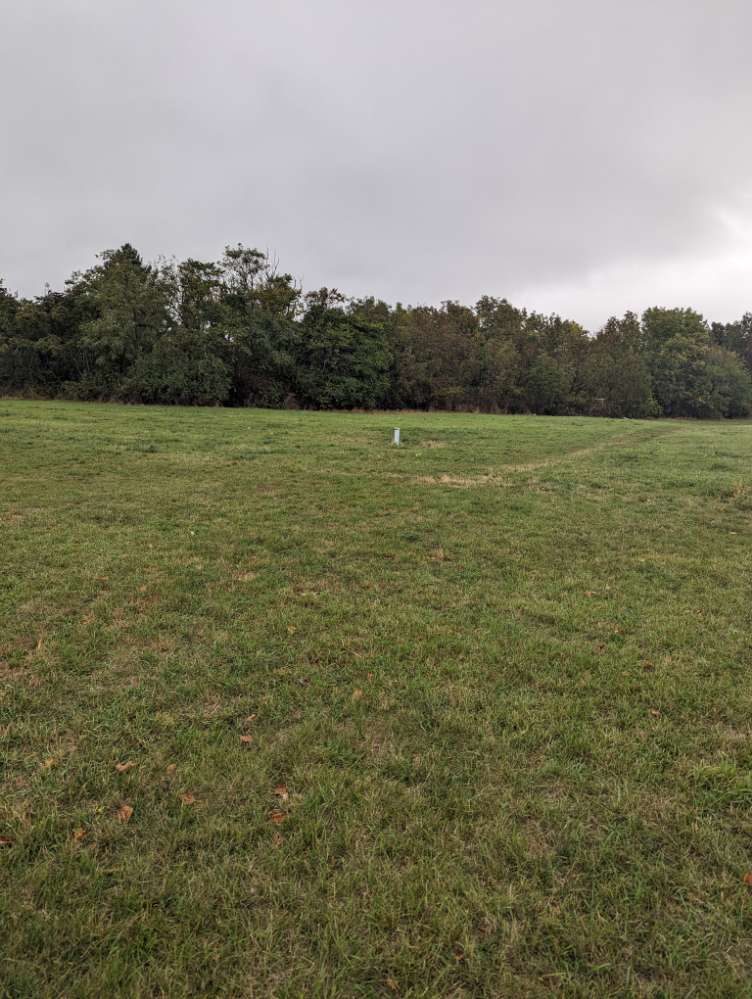 Giftköder-Rohes Faschiertes und Semmelhälften-Profilbild