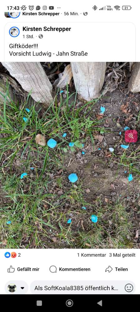 Giftköder-Giftköder-Profilbild