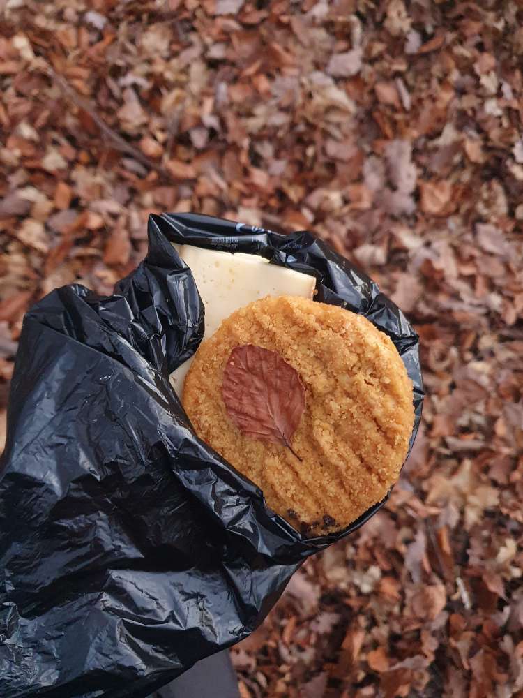 Giftköder-Evtl. Giftköder-Profilbild