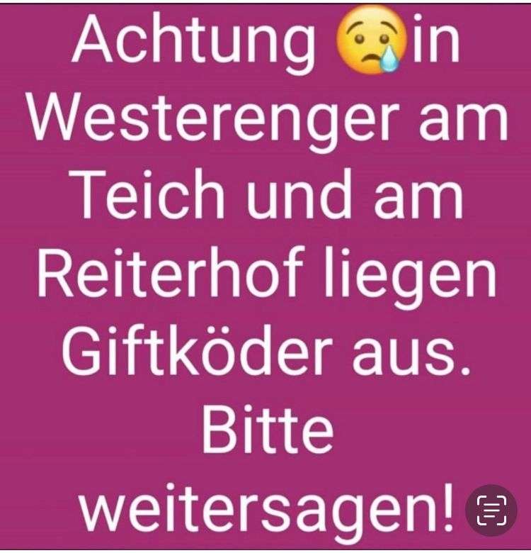 Giftköder-Vermutlich Giftköder-Profilbild