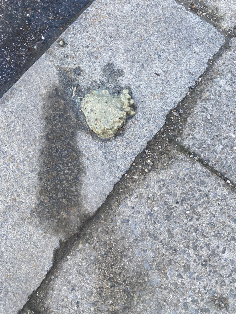 Giftköder-Möglicher Giftköder-Profilbild