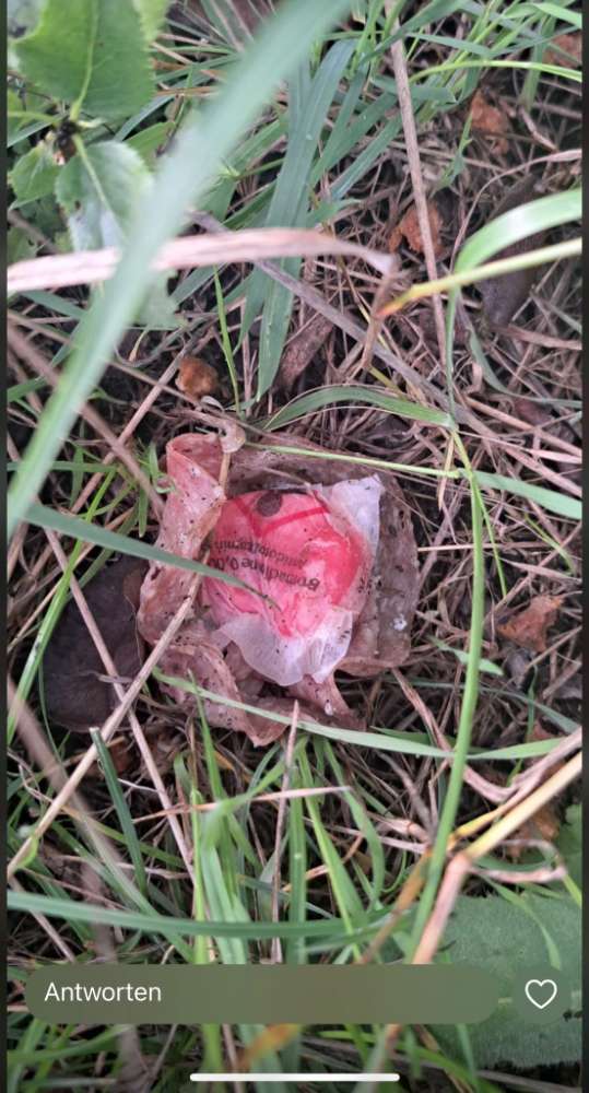 Giftköder-Giftköder-Profilbild