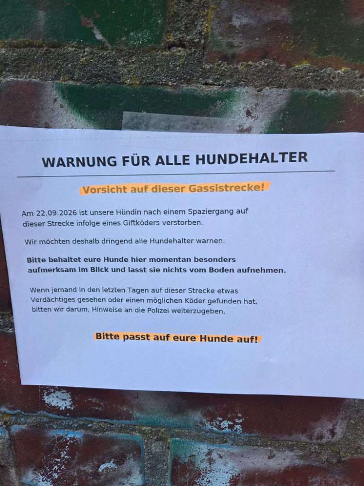 Giftköder-Giftköder-Profilbild