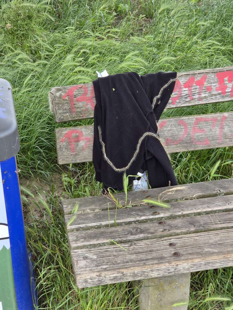 Giftköder-Eichen-Prozessionsspinner-Profilbild
