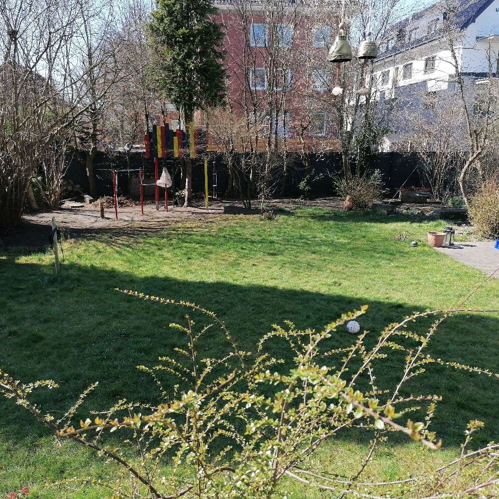 Hundetreffen-Cavaliere und kleine Hunde Treffen-Profilbild