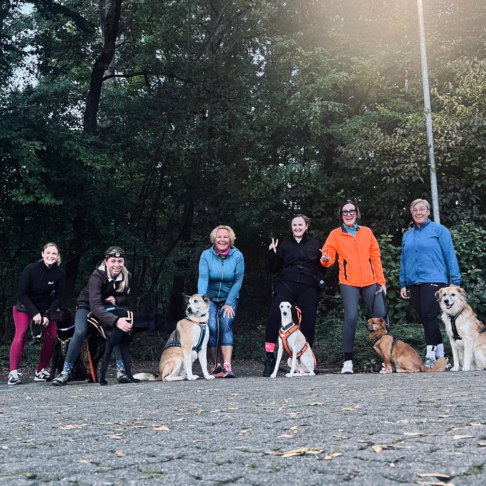 Hundetreffen-GASSIFIT - Gassi für den Hund. Fitness für den Mensch.-Profilbild