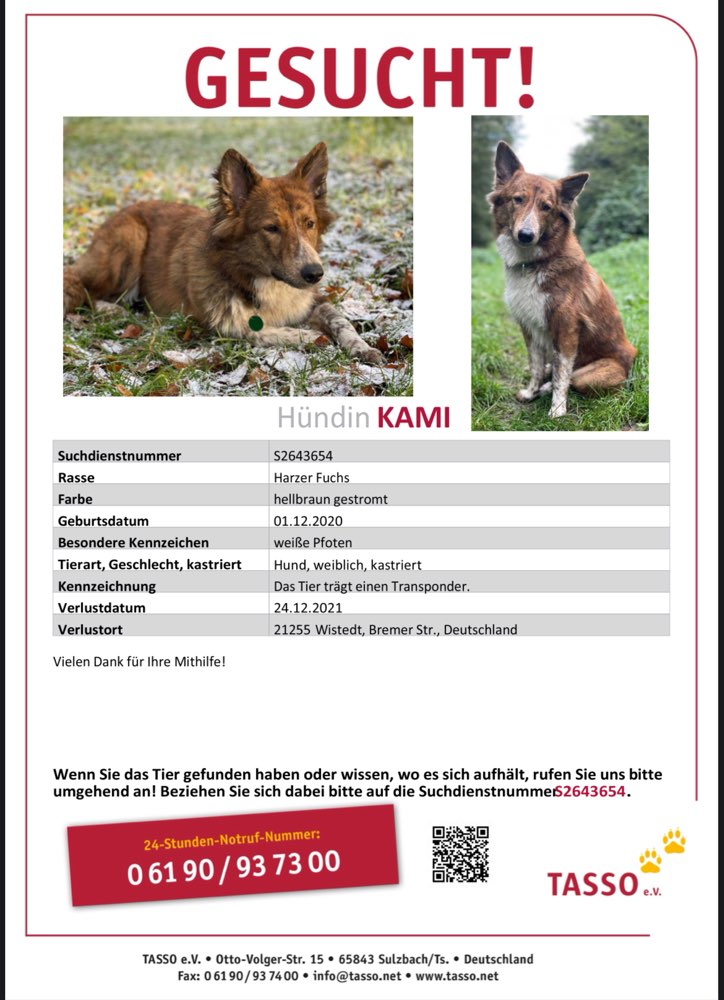 Suchmeldung-Kami-Profilbild