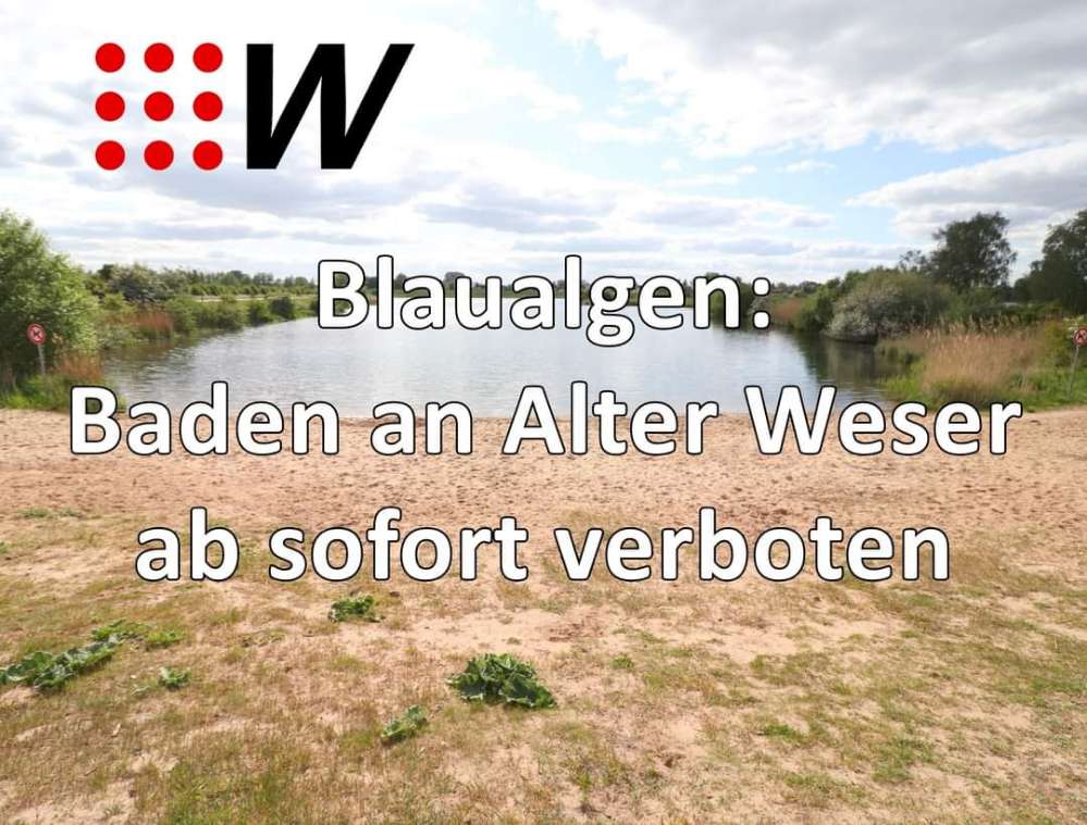 Giftköder-Blaualgen Alte Weser|Wieder freigegeben!-Profilbild
