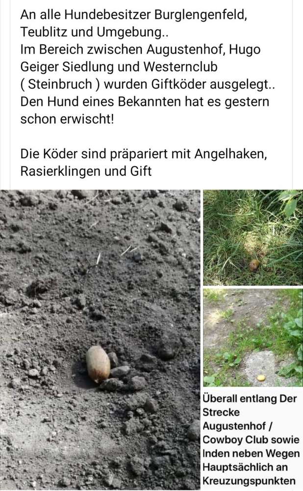 Giftköder-giftköder-Profilbild