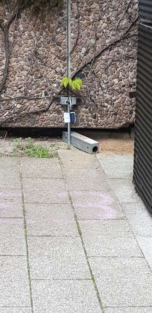 Giftköder-Rattengiftfalle ohne Kennzeichnung-Profilbild