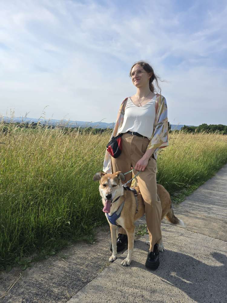 Hundetreffen-Gestellte Hundebegegnungen gesucht :)-Profilbild