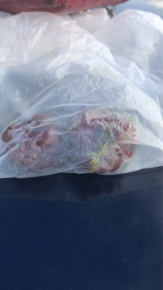 Giftköder-Achtung! Eventuell GIFTKÖDER !-Profilbild