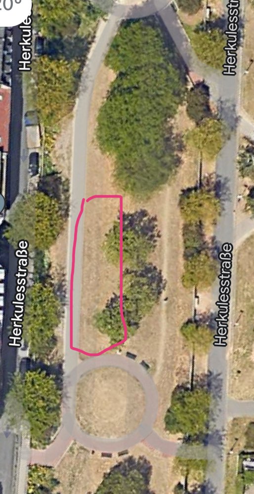 Giftköder-Rattengift Verdacht-Profilbild