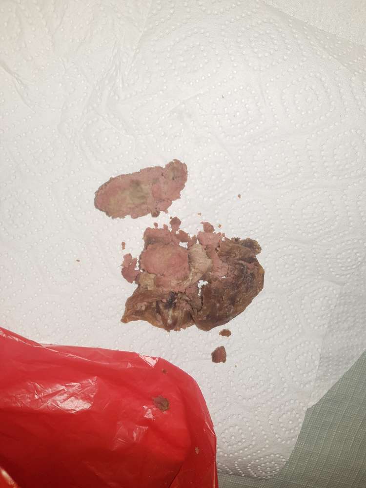 Giftköder-Eventuelle Giftköder-Profilbild