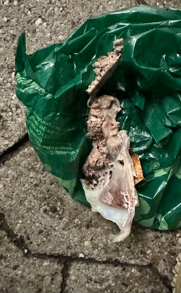 Giftköder-Knochen-Profilbild