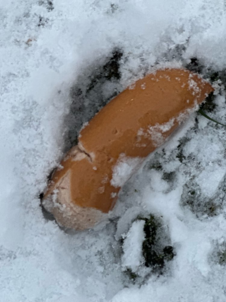Giftköder-Fleischwurst-Profilbild