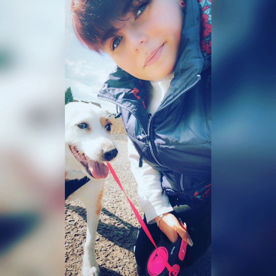 Hundetreffen-Treffen zum  Spaziergang-Profilbild