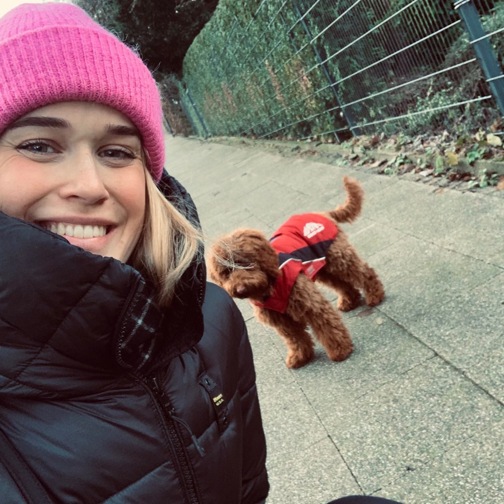 Hundetreffen-Gemeinsames Spielen auf der Wiese-Profilbild