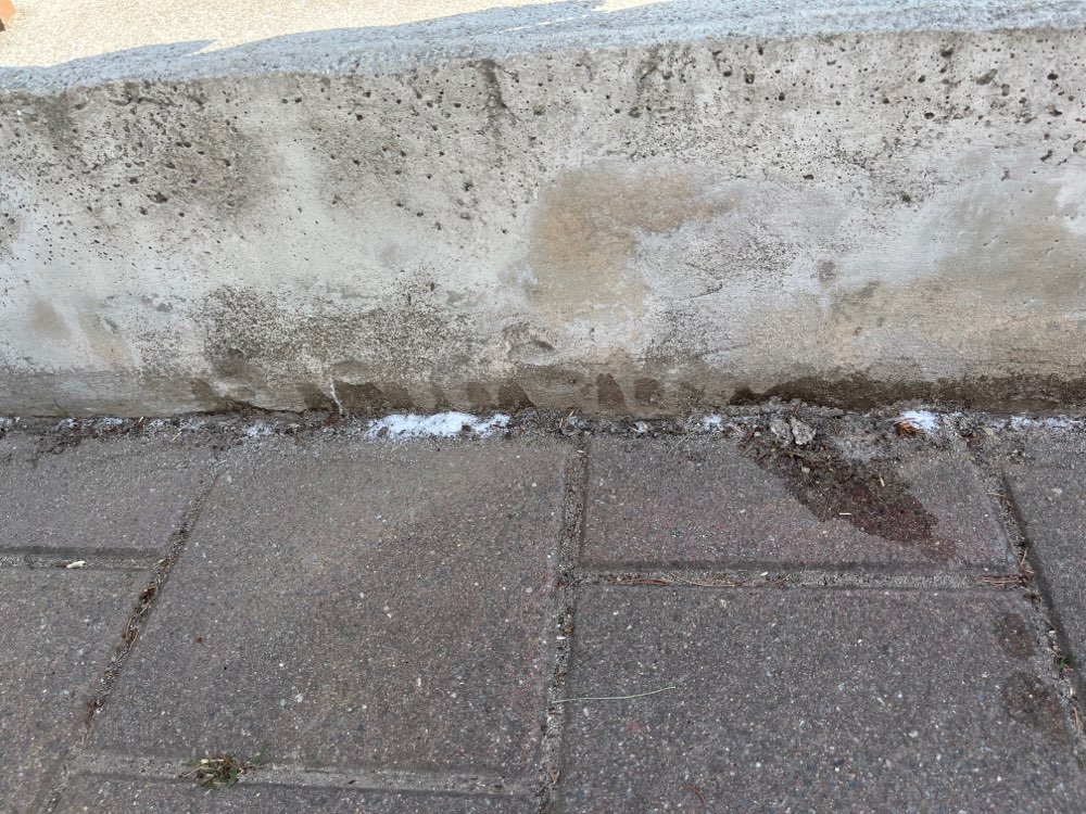 Giftköder-Armeisen Gift-Profilbild