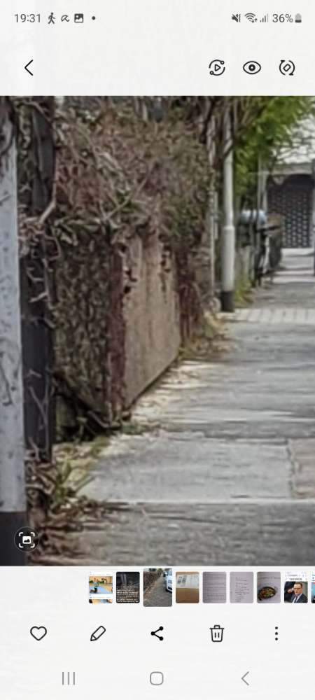 Giftköder-Vermeintliches Rattengift-Profilbild