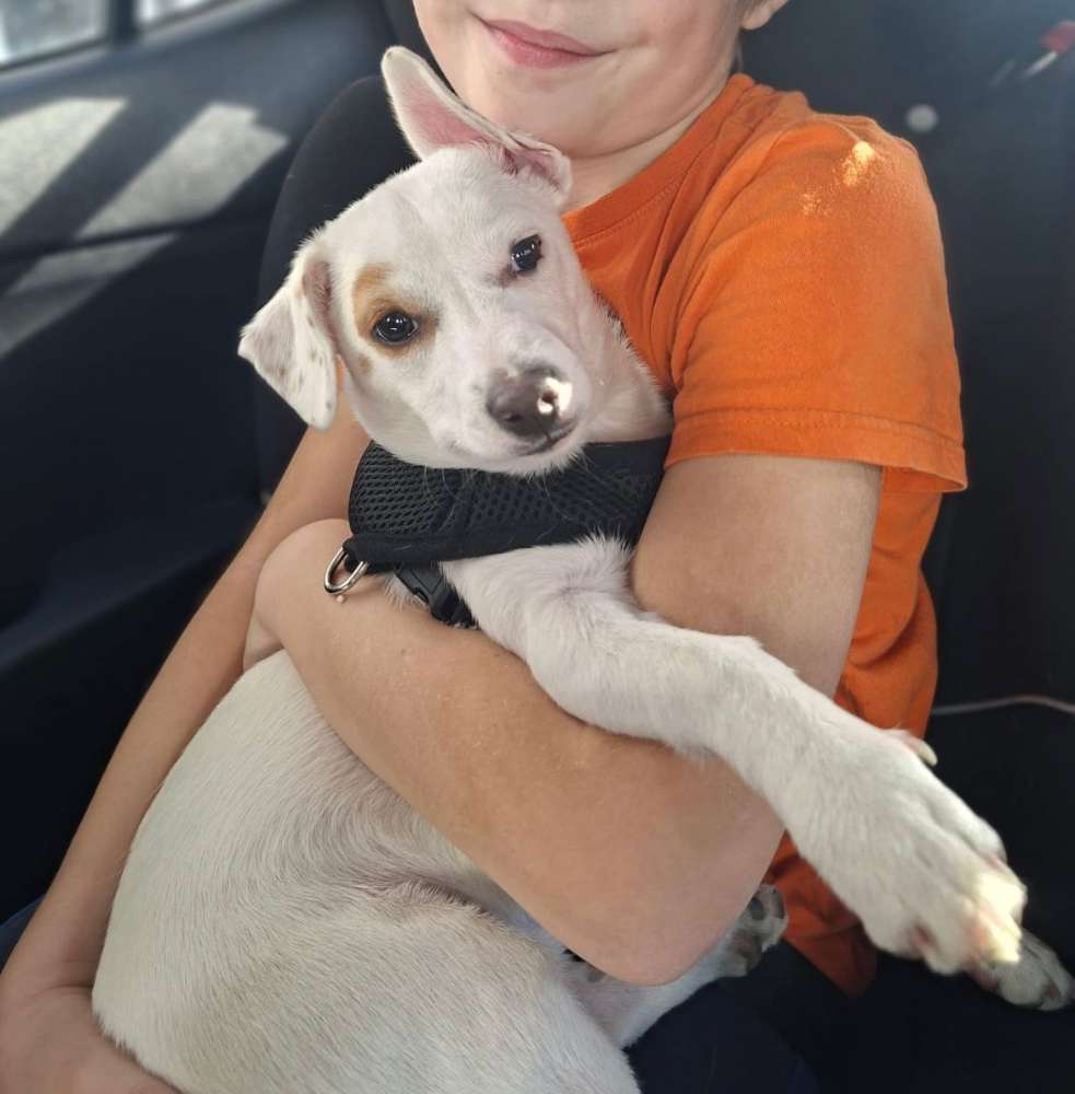 Suchmeldung-Buddy-Profilbild