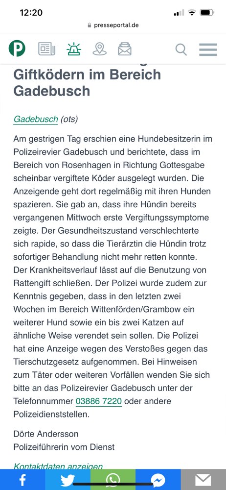 Giftköder-Giftköder mit Rattengift-Profilbild