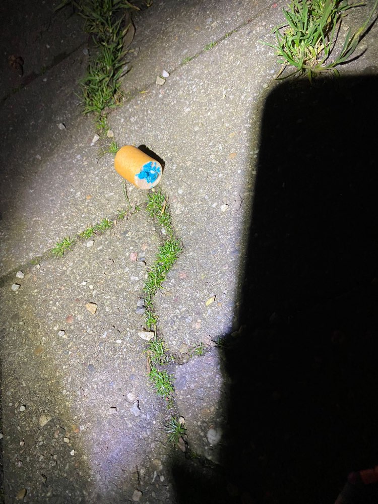 Giftköder-Giftköder-Profilbild