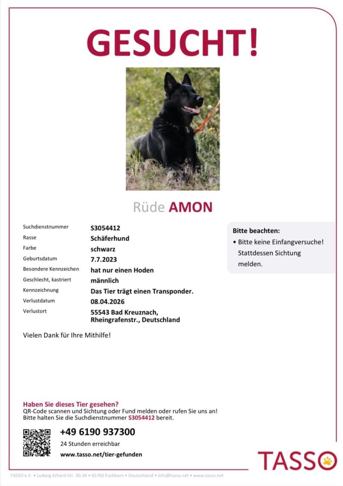 Suchmeldung-Amon-Profilbild