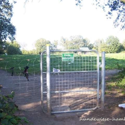 Hundetreffen-Tobe Runde im Freilauf höltigbaum-Profilbild