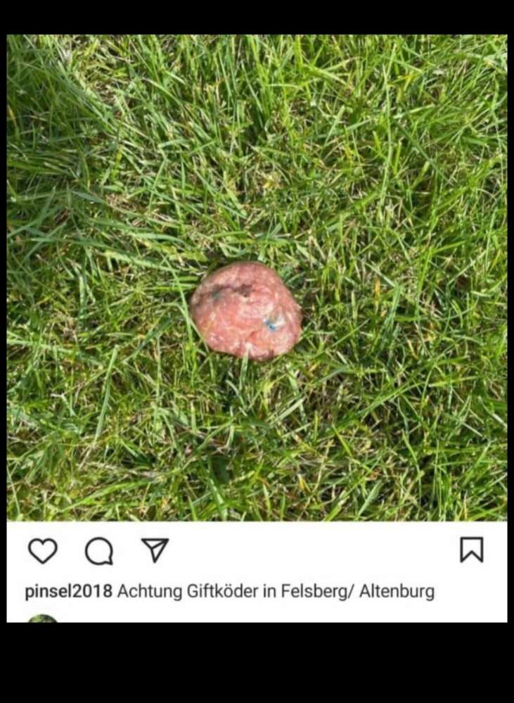 Giftköder-Giftköder-Profilbild