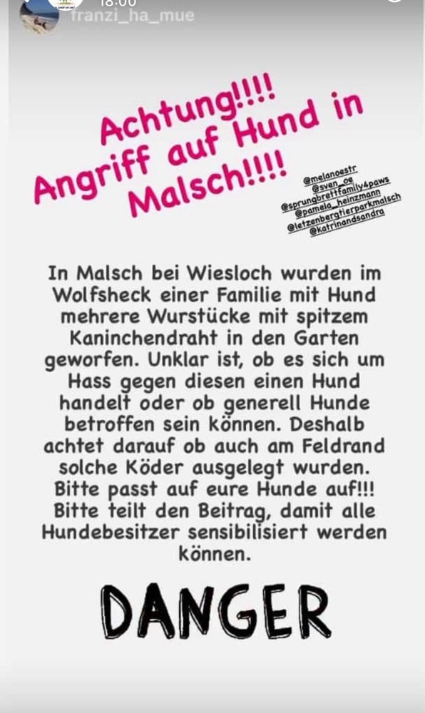 Giftköder-Köder mit Kaninchendraht-Profilbild