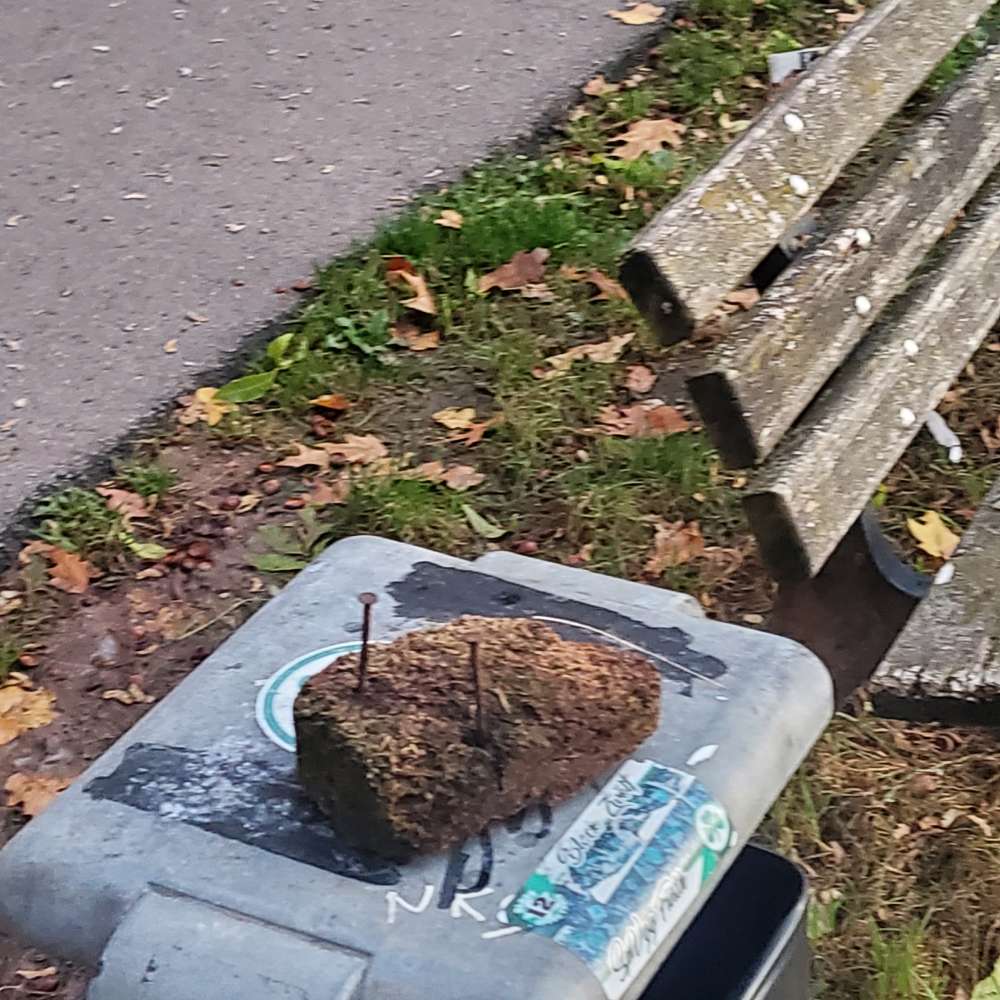 Giftköder-Verletzungsrisiko-Profilbild