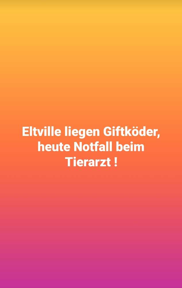 Giftköder-Giftköder-Profilbild
