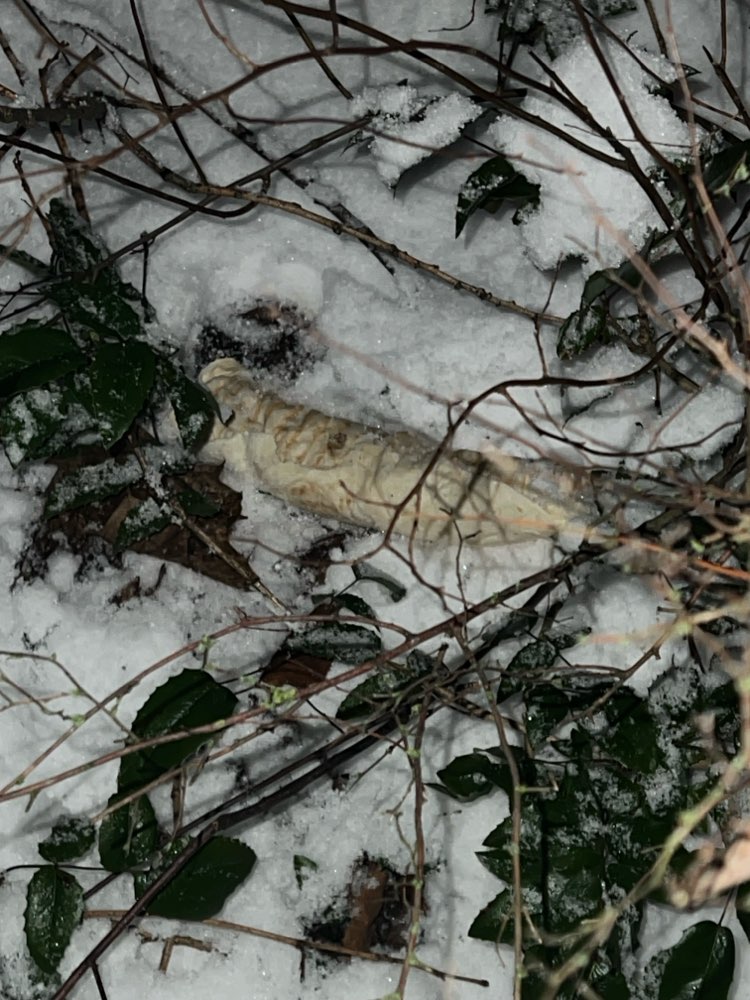 Giftköder-Ein ganzer Dürüm Döner-Profilbild