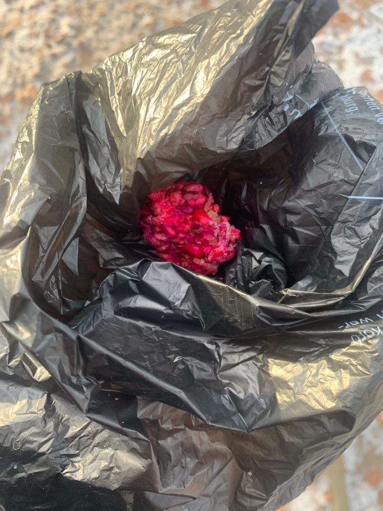 Giftköder-Neuer Giftköder-Profilbild