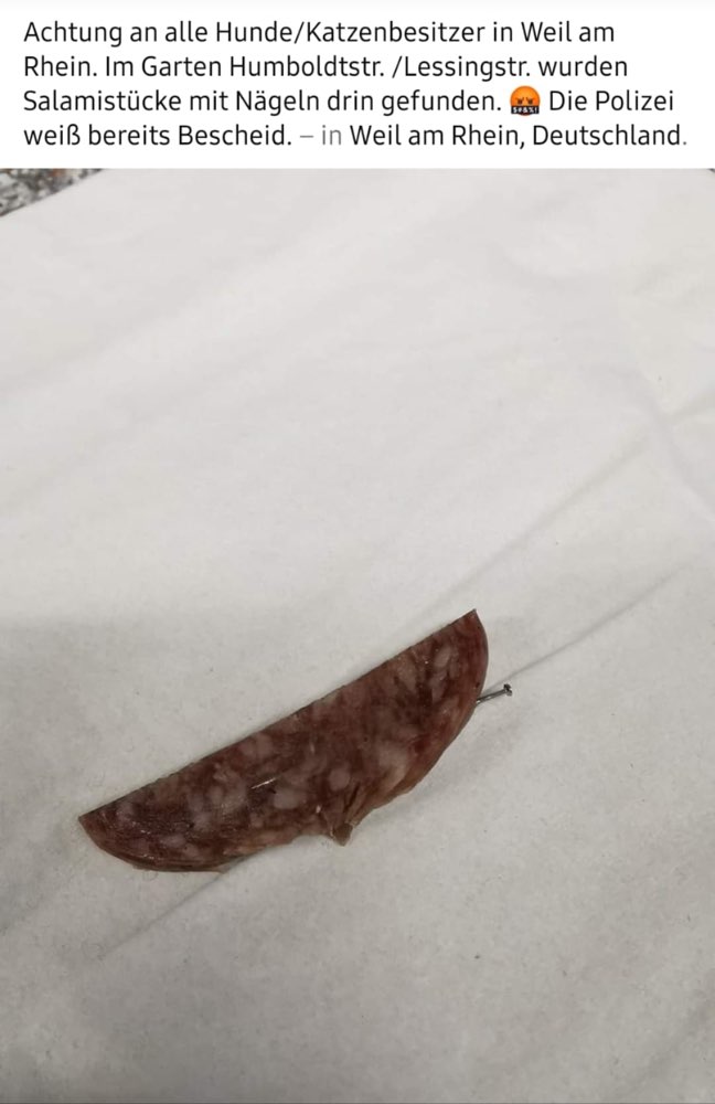 Giftköder-Salamistücke mit Nägeln-Profilbild