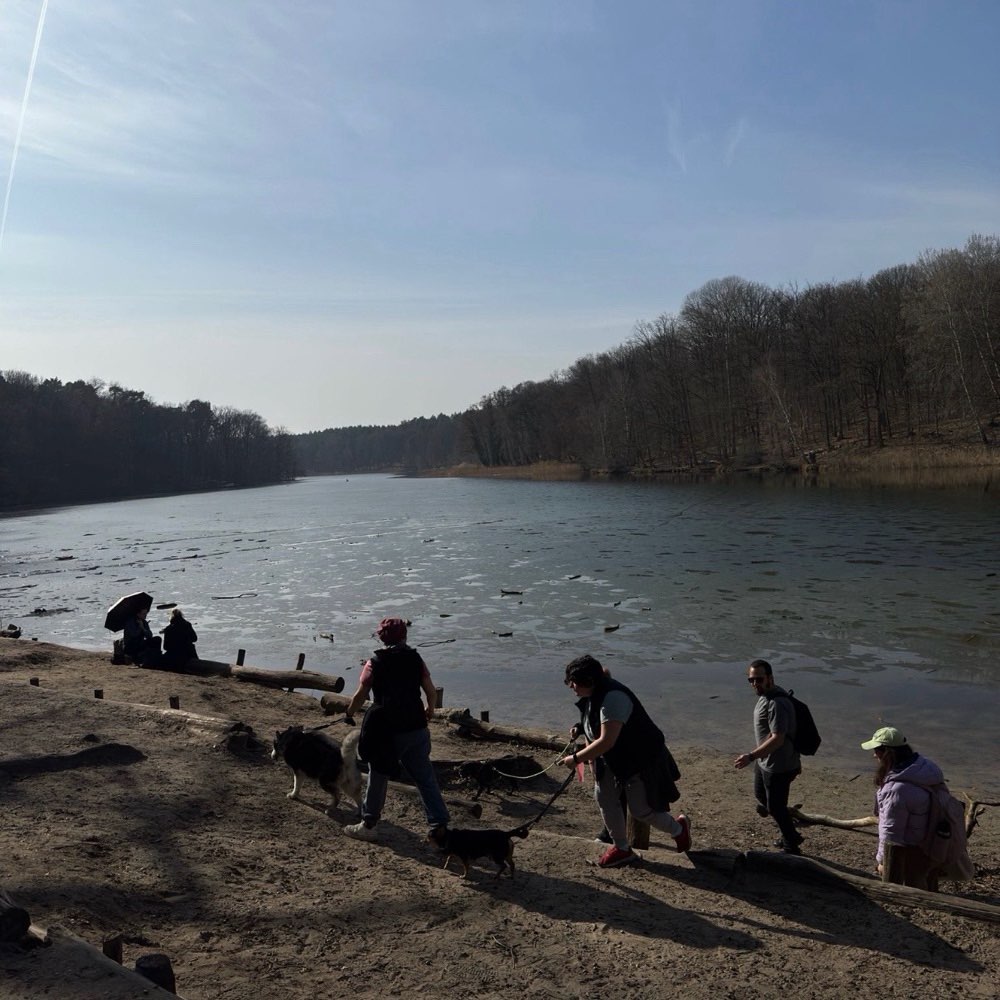 Hundetreffen-Dog Walk in Plötzensee-Profilbild
