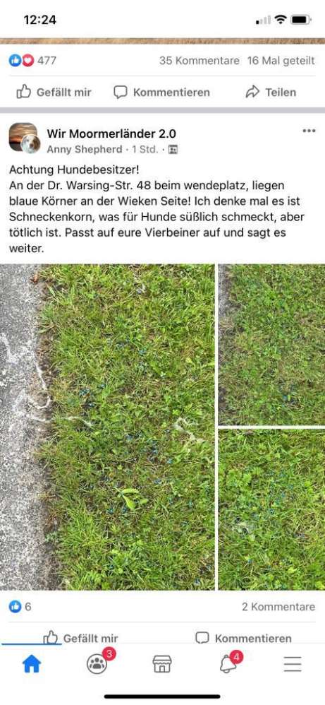 Giftköder-Schneckenkorn-Profilbild