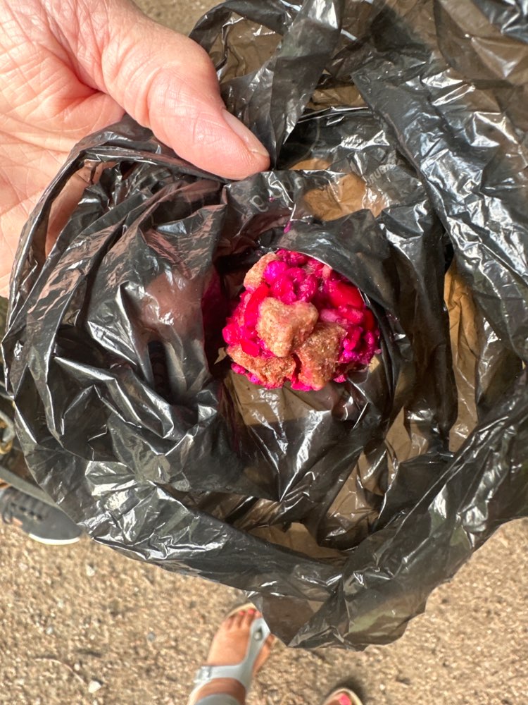 Giftköder-Giftköderfund-Profilbild