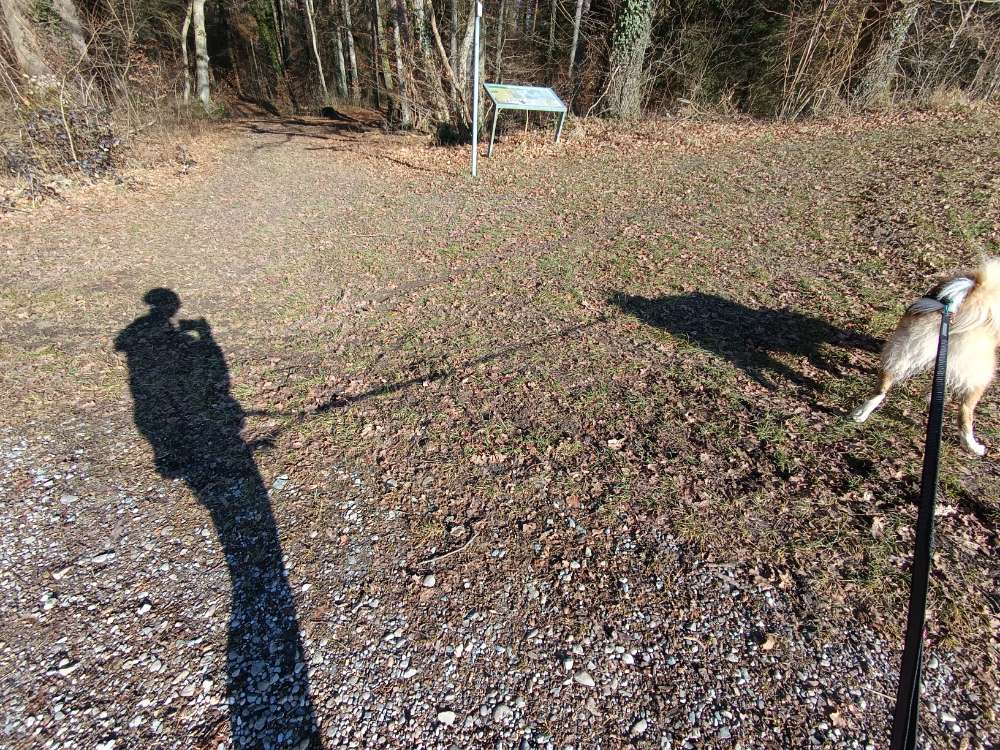 Hundetreffen-Cani-Cross Anfänger Partner gesucht-Profilbild