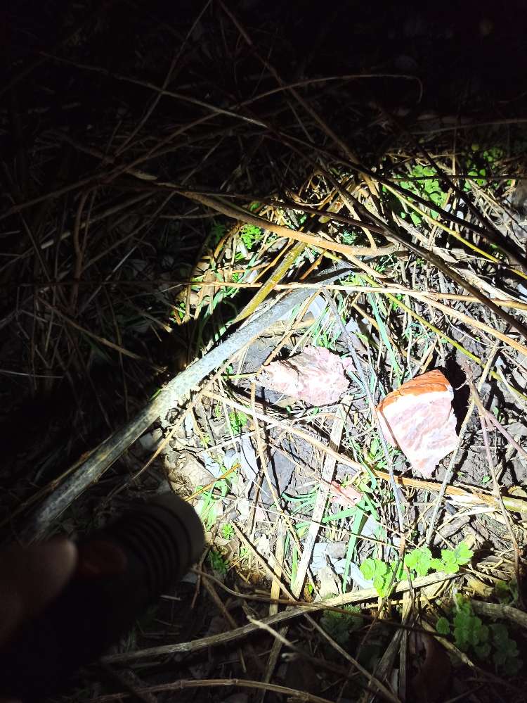 Giftköder-Fleisch Emmerwiesen-Profilbild