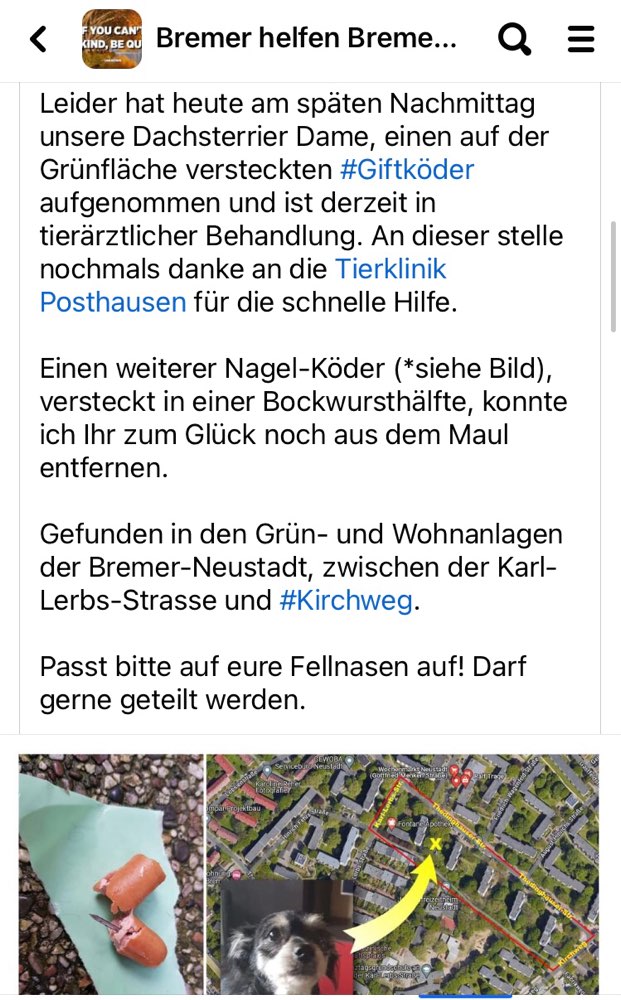 Giftköder-Giftköder-Profilbild